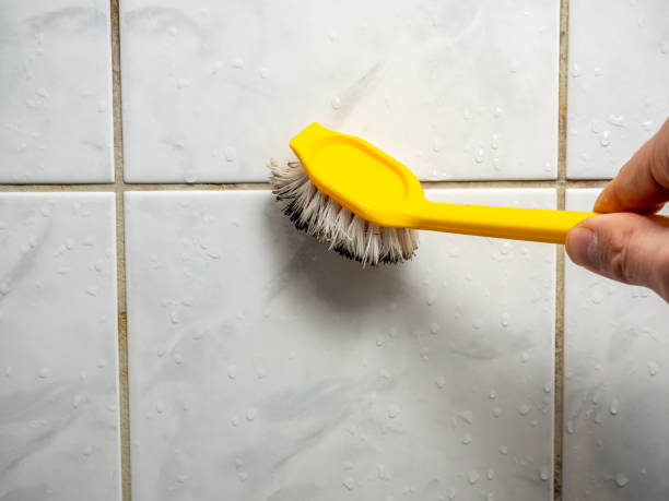 Reliable Pion Hills, CA Mold Remediation Solutions