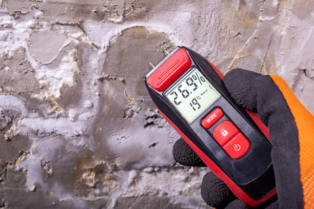 Best Industrial Mold Remediation in Pion Hills, CA