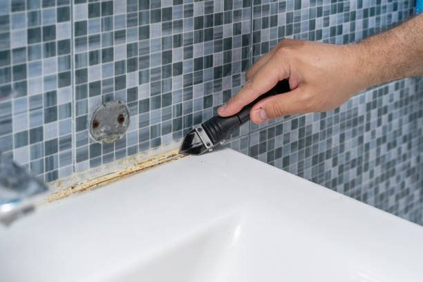 Best White Mold Remediation in Pion Hills, CA